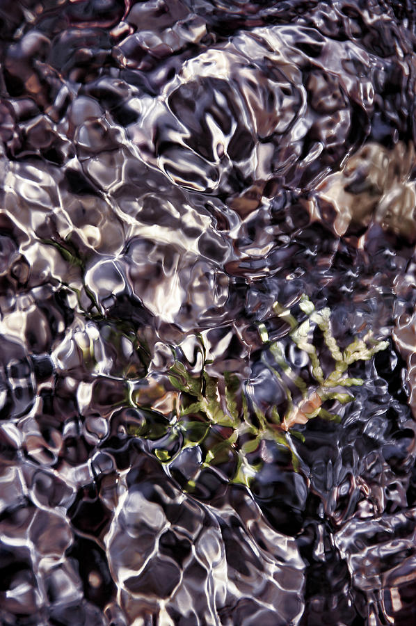 Ripple Freeze Frame toned Photograph by Leda Robertson