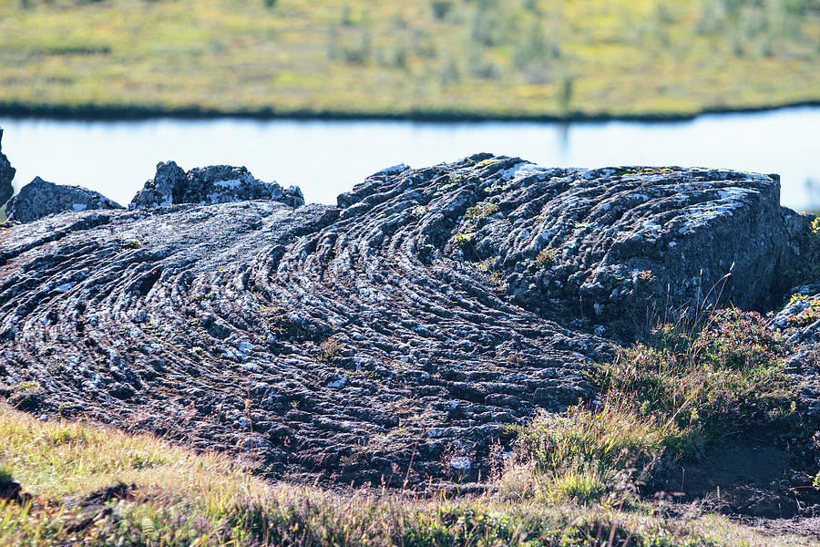 Rippled lava at the Mid-Atlantic Rise in Thingvellir, Iceland Photograph by Allan Levin
