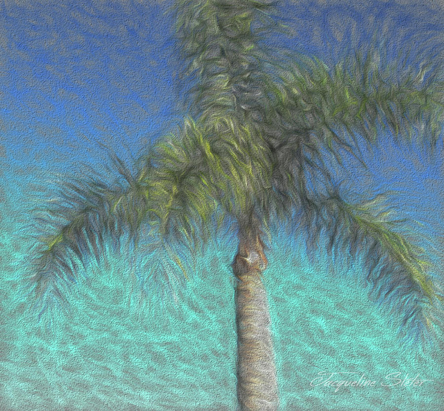Rippled Palm by Jacqueline Sleter Rippled Palm by Jacqueline Sleter