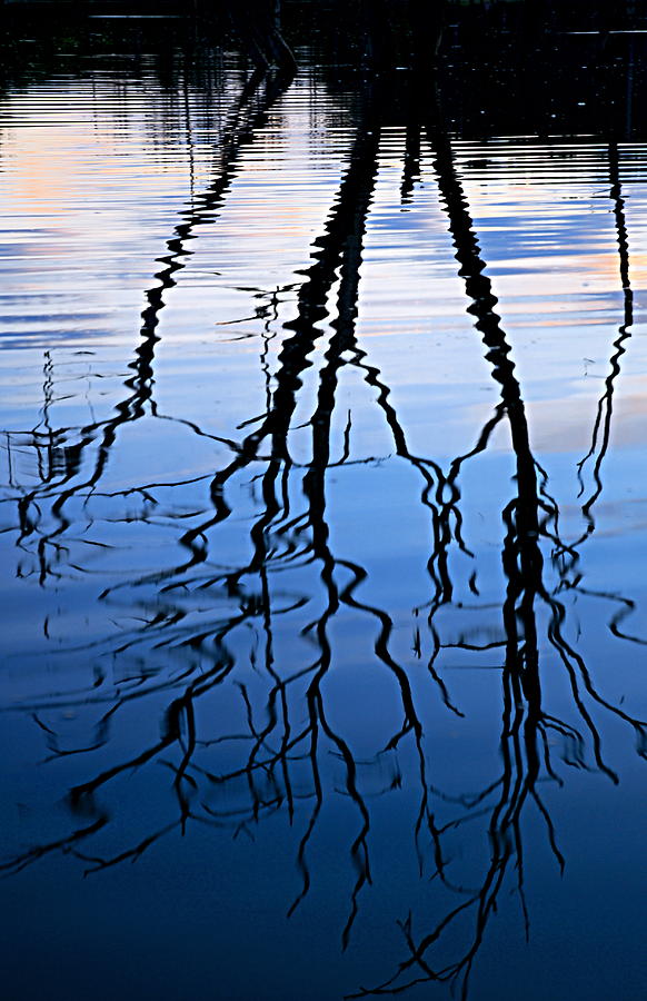 Rippled Reflections Photograph by Larry Ricker