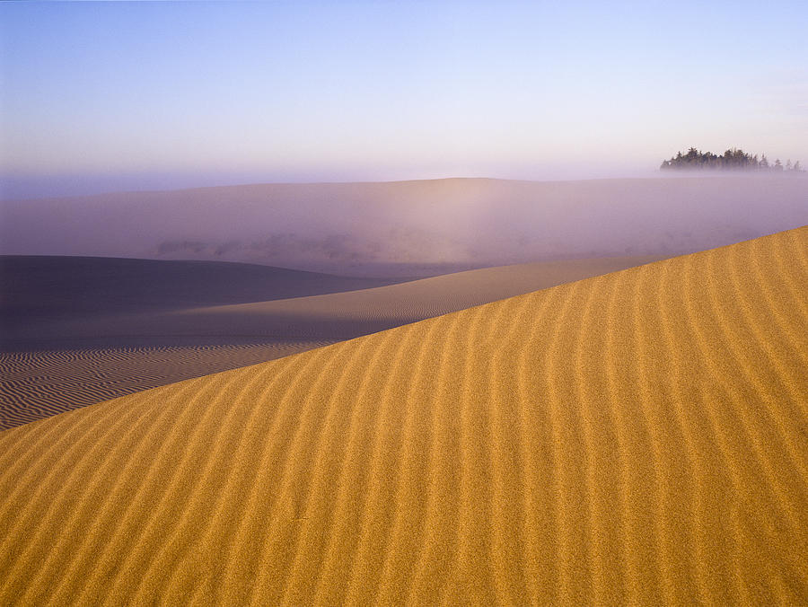 Rippled Sand Dune Photograph by Robert Potts