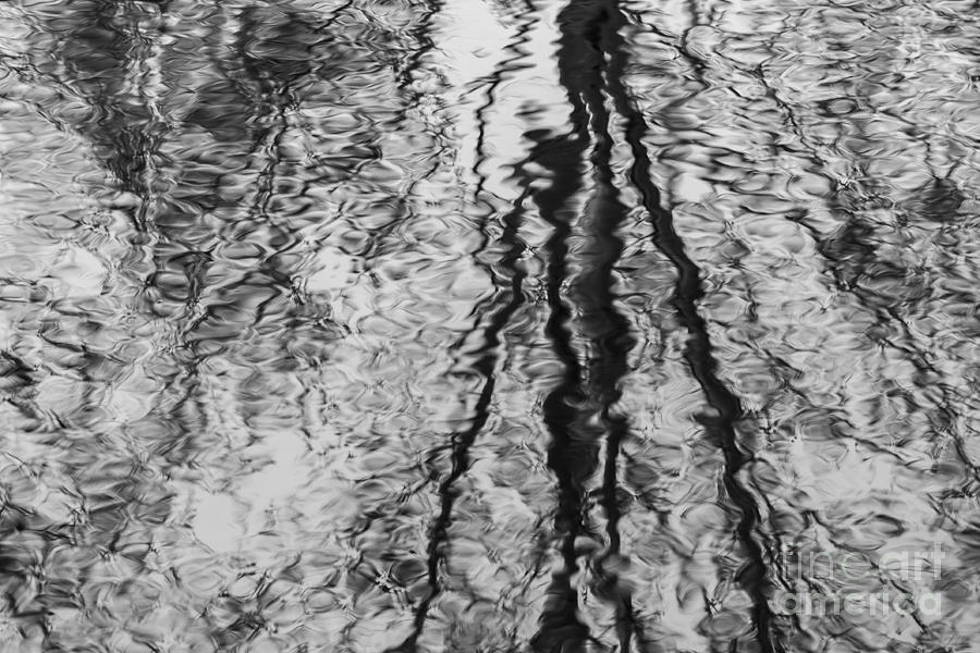 Ripples Photograph by Ashley M Conger - Fine Art America