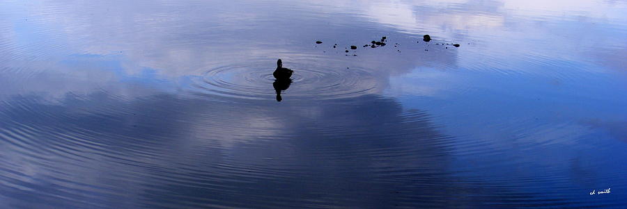 Ripples Photograph by Edward Smith