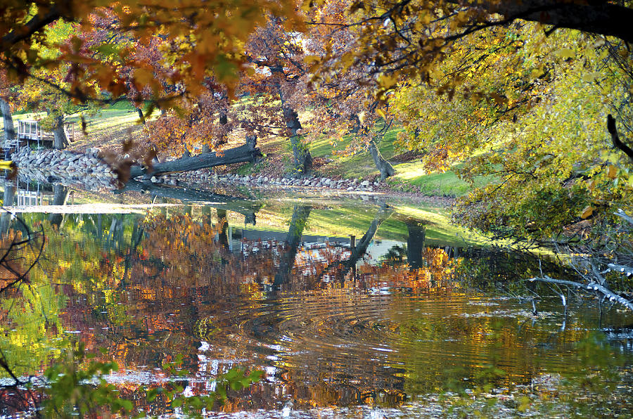 Ripples in an Autumn Lake Photograph by Lynn Hansen