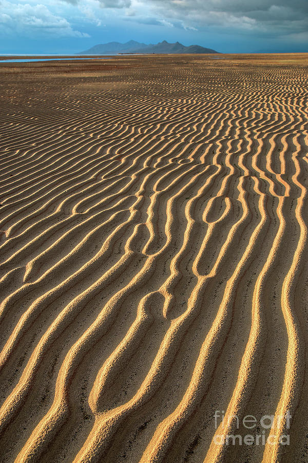 Ripples in Late Sunlight Photograph by Spencer Baugh