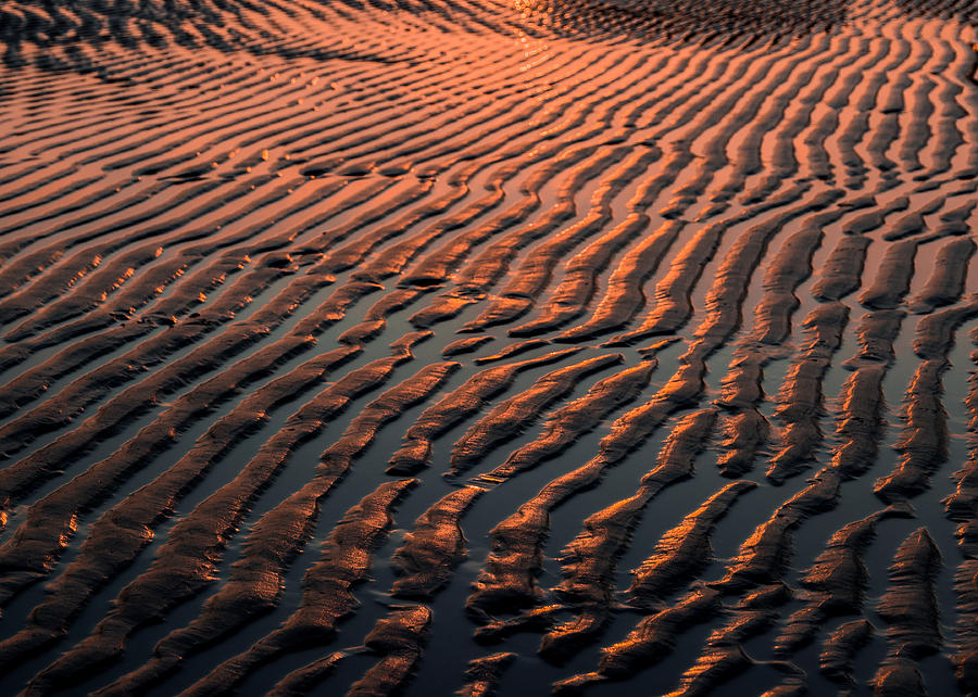 Ripples in the Morning Photograph by Tim Kirchoff