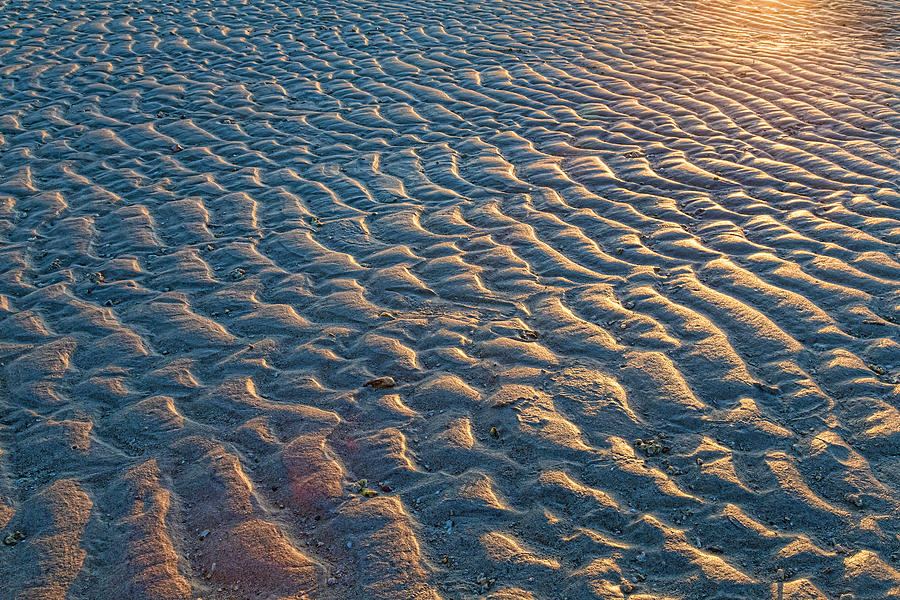 Ripples In The Sand Photograph by James BO Insogna