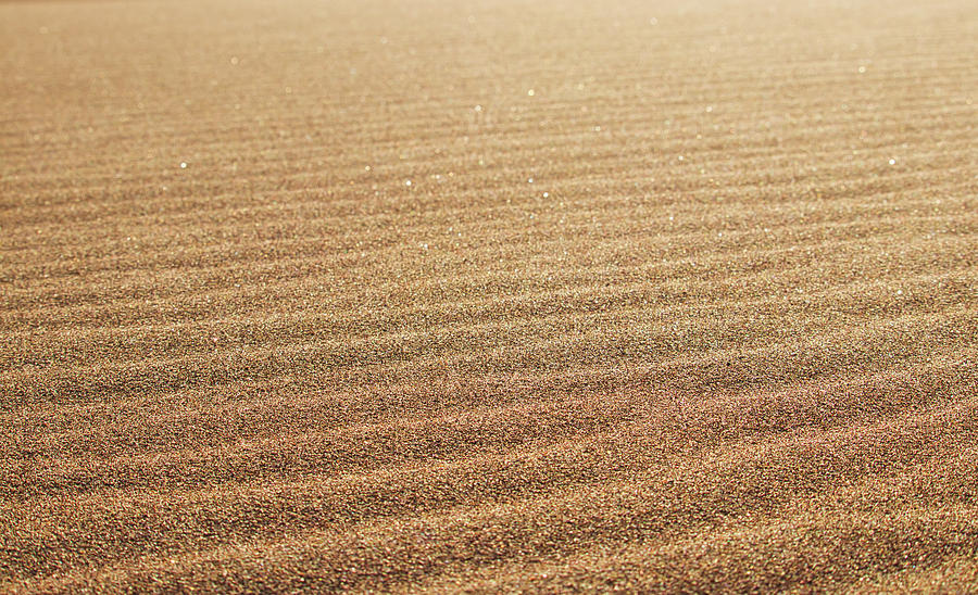 Ripples in the Sand Photograph by Kevin Schwalbe