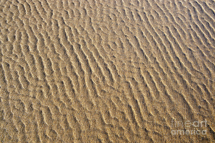 Ripples in the Sand Photograph by Tim Gainey