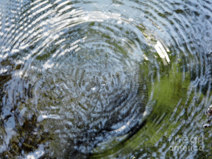 Ripples In The Water Photograph by D Hackett