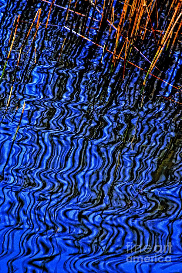 Ripples in the Water Photograph by Martyn Arnold