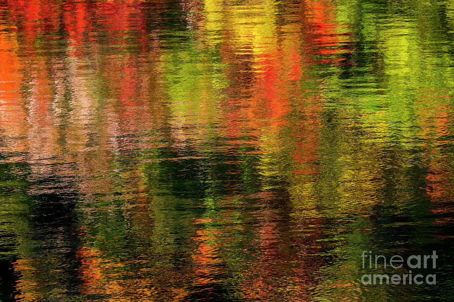 Ripples of Fall Color Photograph by Sonya Lang