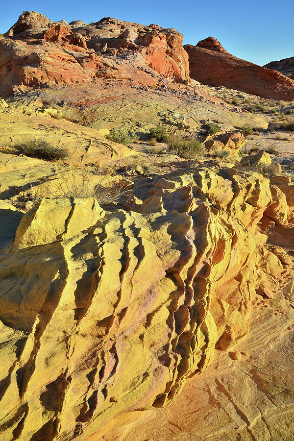 Ripples Of Gold In Wash 3 Of Valley Of Fire Photograph