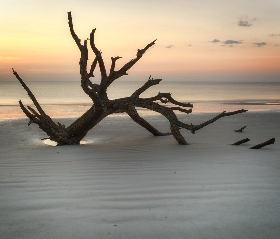 Ripples of Sand And Driftwood Photograph by Greg and Chrystal Mimbs