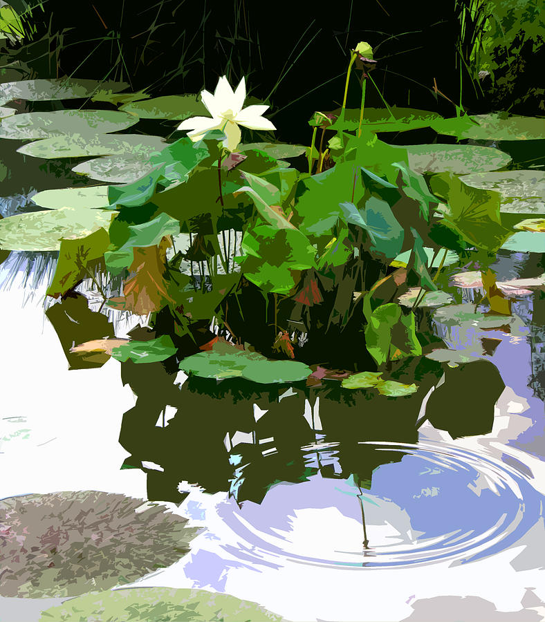 Ripples on the Lotus Pond Photograph by John Lautermilch