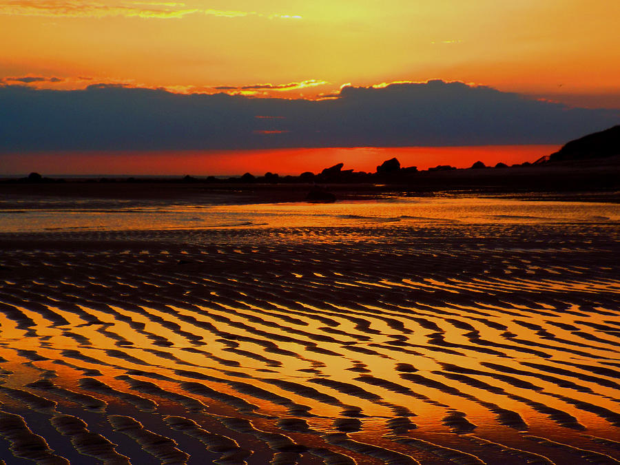 Rise And Shine Photograph By Dianne Cowen Cape Cod And Ocean Photography Fine Art America 