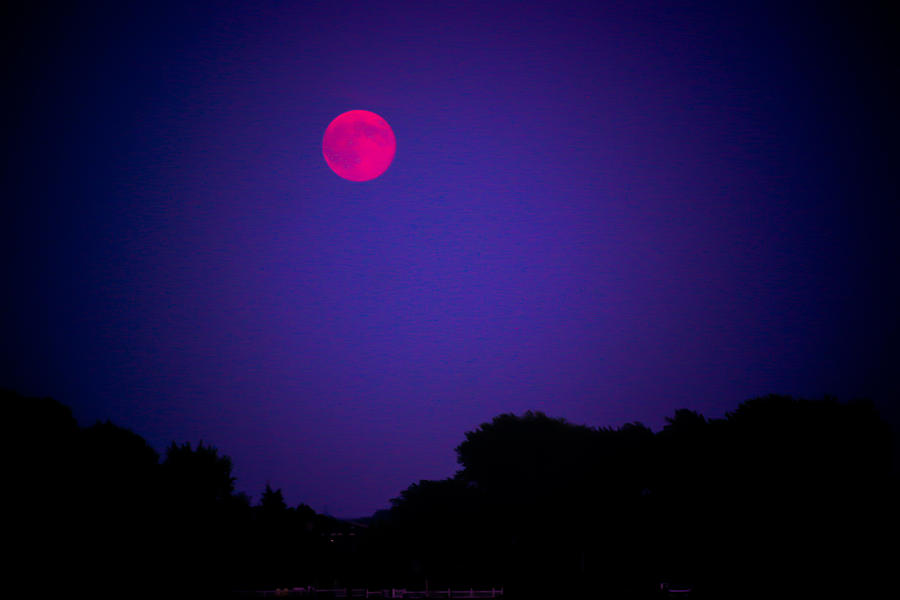 Rise Of The Pink Moon Photograph