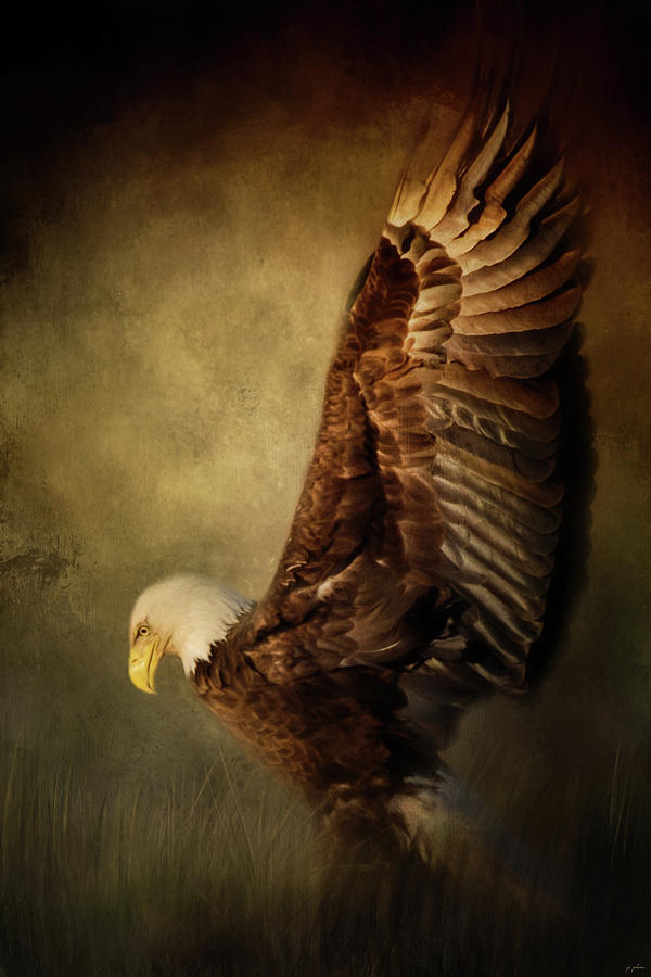 Eagle Photograph - Rise Up Bald Eagle Art by Jai Johnson