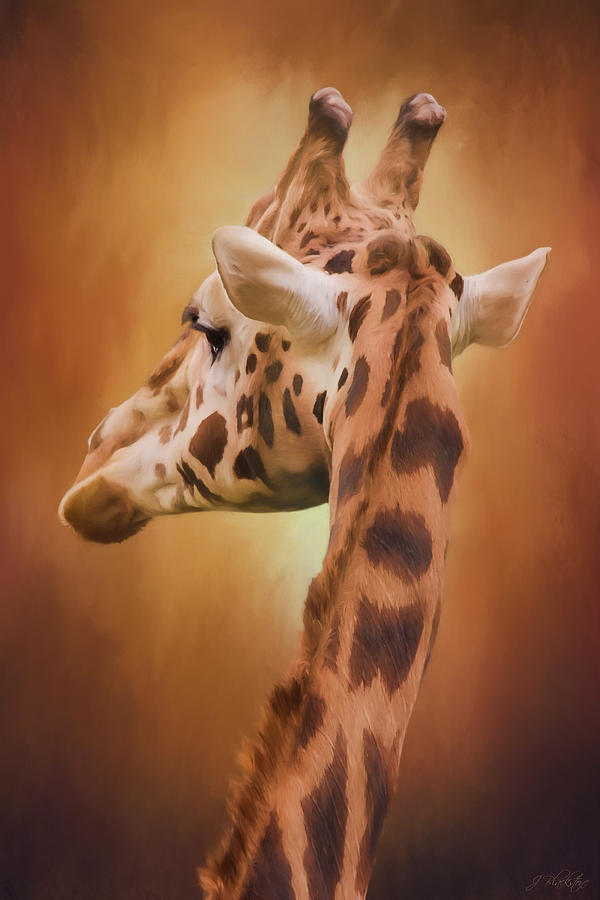 Rising Above - Giraffe Art Photograph by Jordan Blackstone