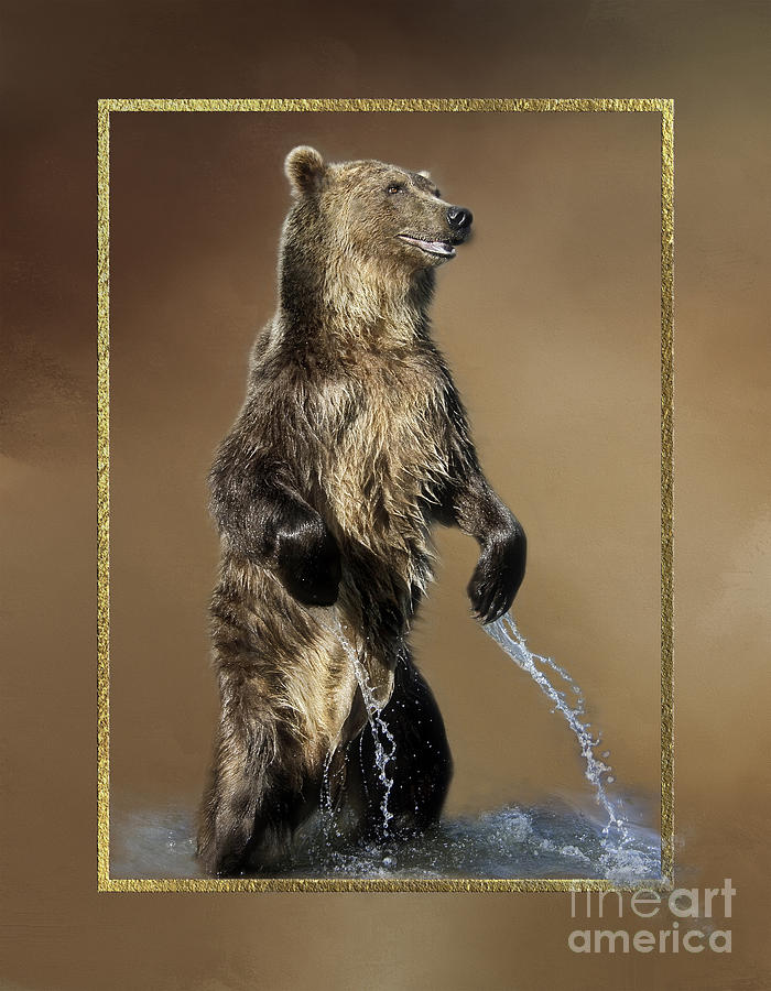 Wildlife Photograph - Rising Bear by Wildlife Fine Art