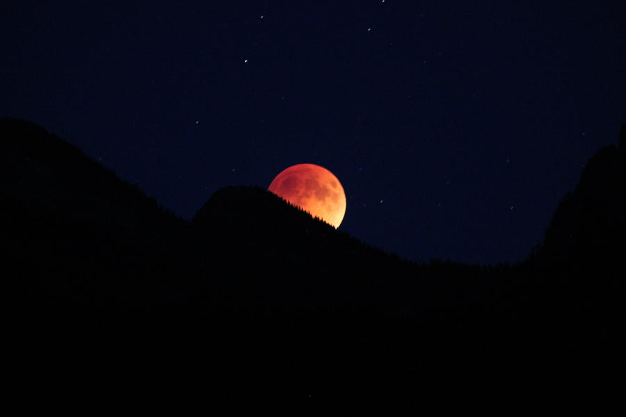 Blood Moon Rising Photograph by Cathie Douglas