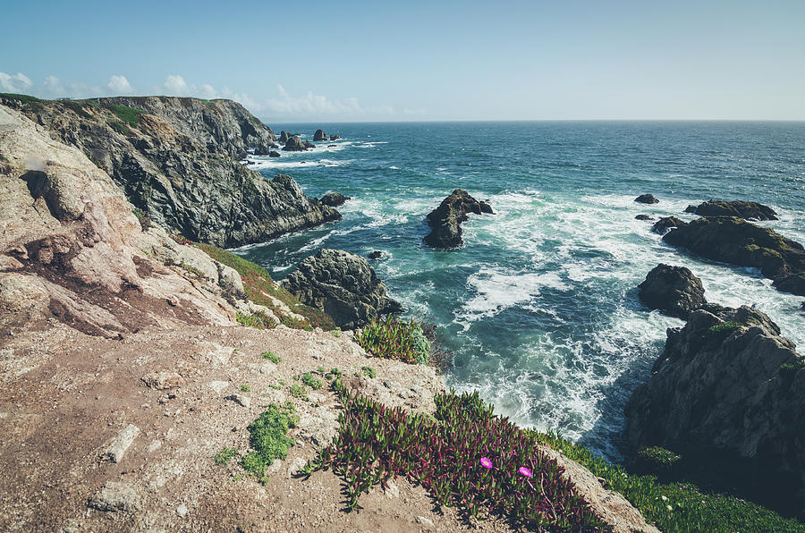 Rising Cliffs at Bodega Head Photograph by Margaret Pitcher