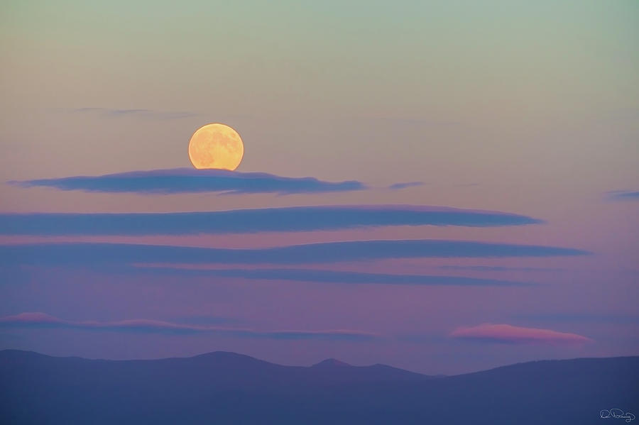 Rising Harvest Moon  Photograph by Dee Browning