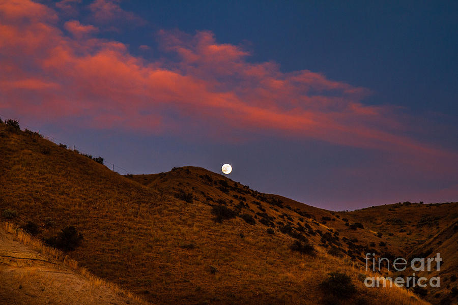 Nature Photograph - Rising Moon by Robert Bales