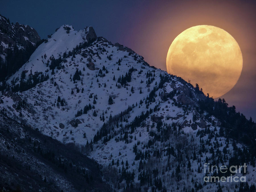Rising Moon Photograph by Spencer Baugh