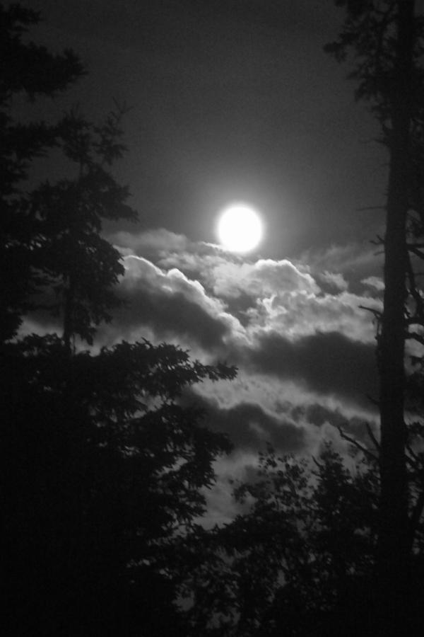 Rising Moon Photograph by Tasha ONeill