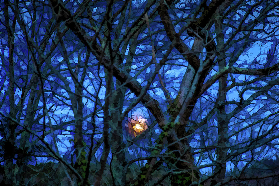 Tree Digital Art - Rising Moon Through the Trees by Lisa Lemmons-Powers