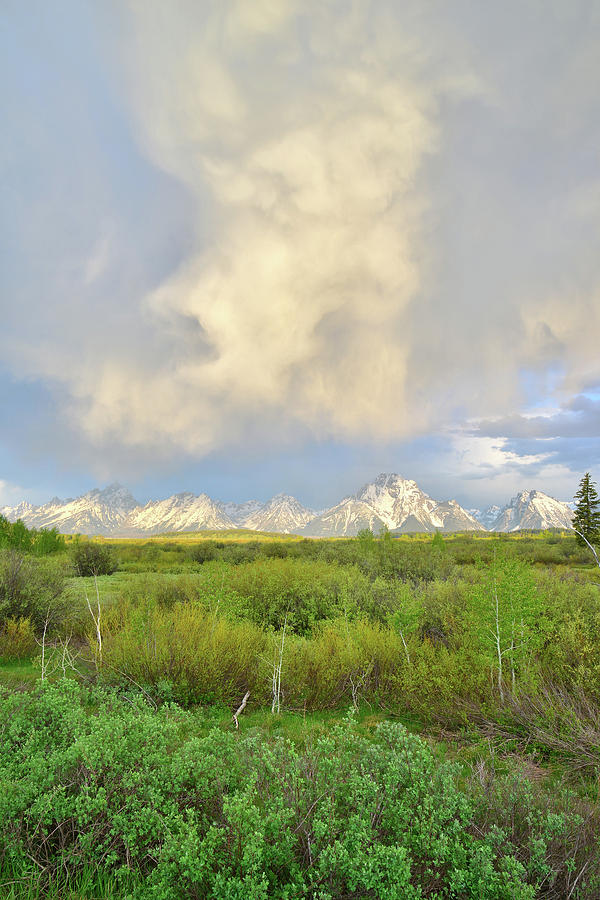 Rising Storm Clouds over Mt. Moran in Grand Teton National Park Photograph by Ray Mathis