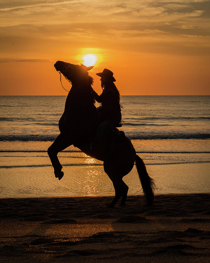 Horse Photograph - Rising Sun by Martha Lyle