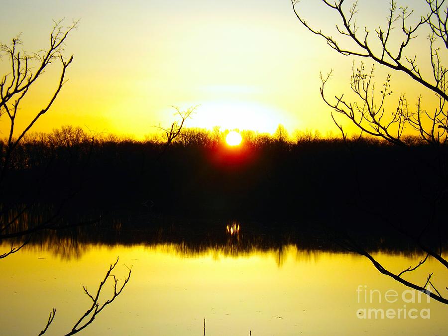 Rising Sun On The Delaware River  Photograph by Robyn King