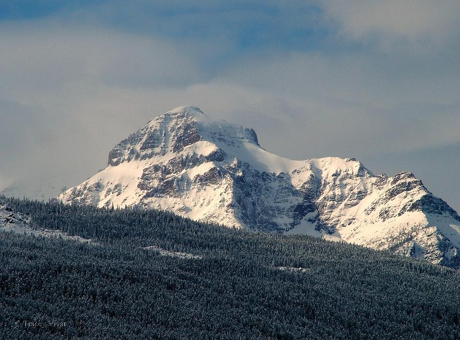 Glacier National Park Photograph - Rising Wolf Mountain, Frost by Tracey Vivar