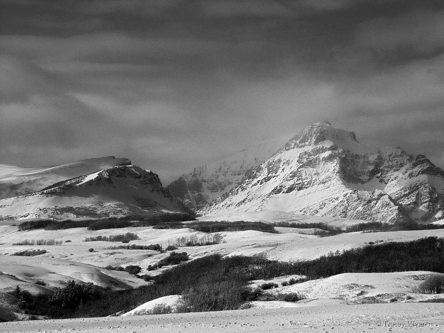 Rising Wolf Mountain- Winter - Black and White Photograph by Tracey Vivar