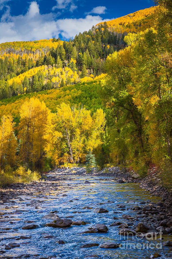 River and Aspens Photograph by Inge Johnsson