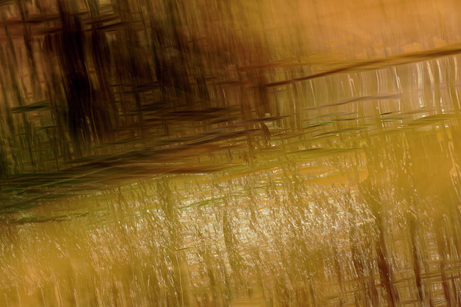 River And Reeds Photograph by Deborah Hughes