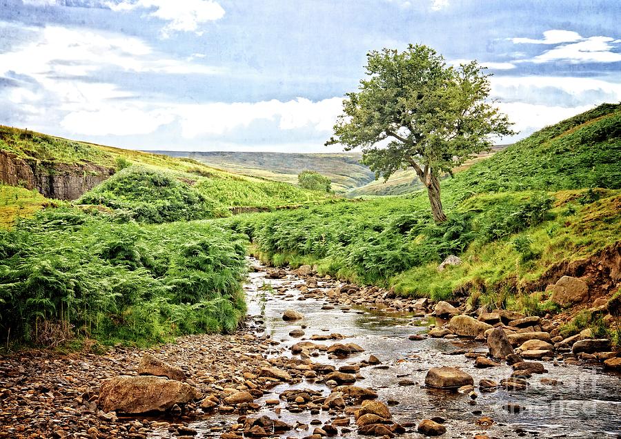 River and Stream in Weardale Photograph by Martyn Arnold