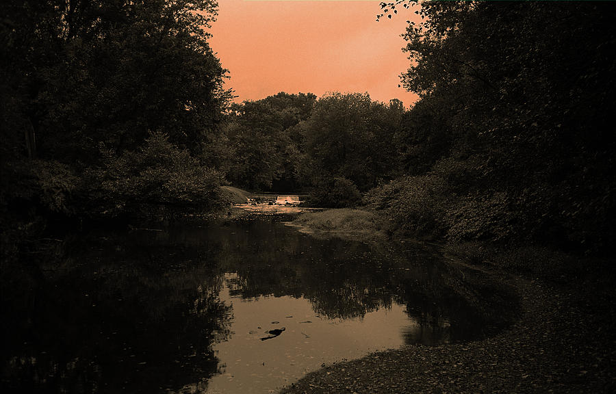 River and Trees Sepia 2017 Photograph by Frank Romeo