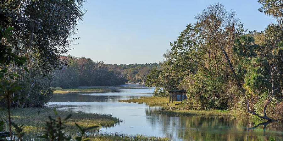 River at Florida Natural Spring Photograph by John Tillard - Fine Art ...