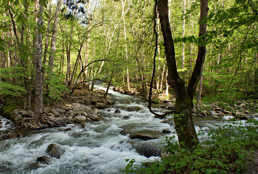 River at Greenbrier Photograph by Sandy Keeton