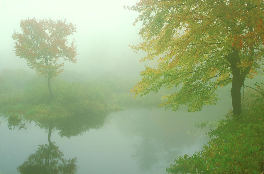 River Autumn Fog Photograph by John Burk