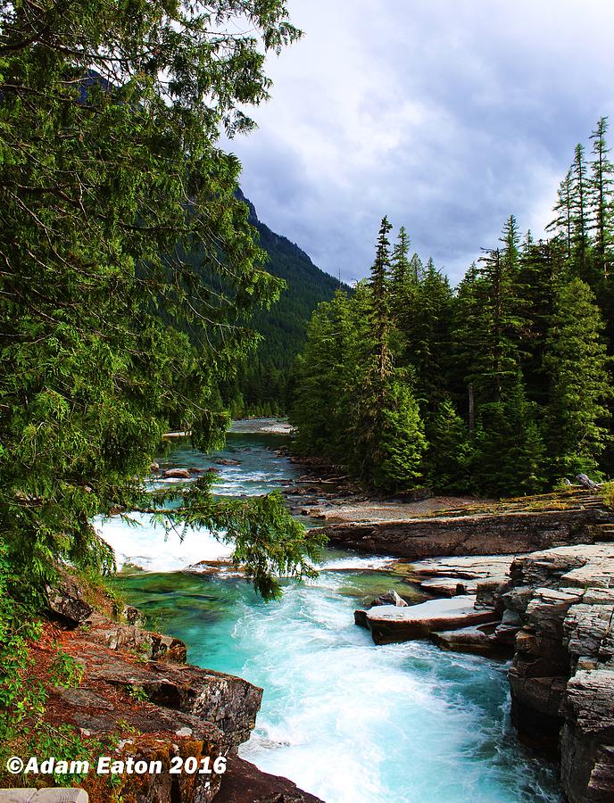 River Bank Photograph by Adam Eaton - Fine Art America