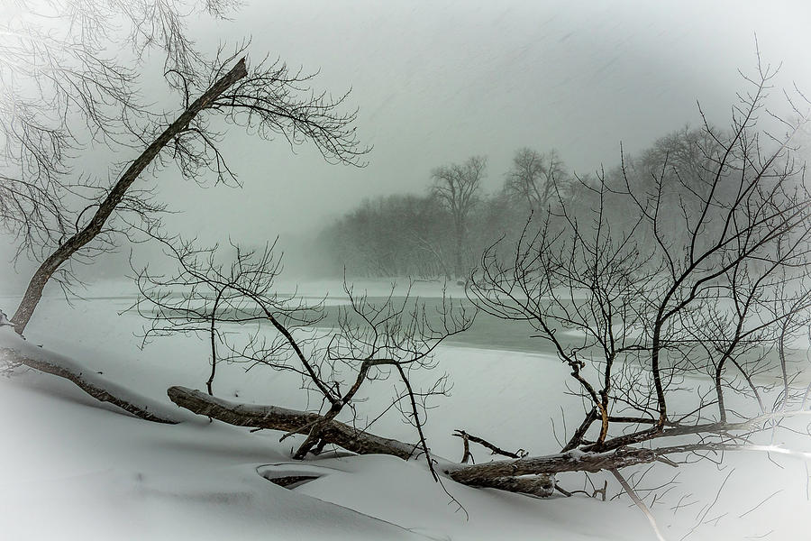 River Bank in Snowstorm Photograph by Kevin Argue