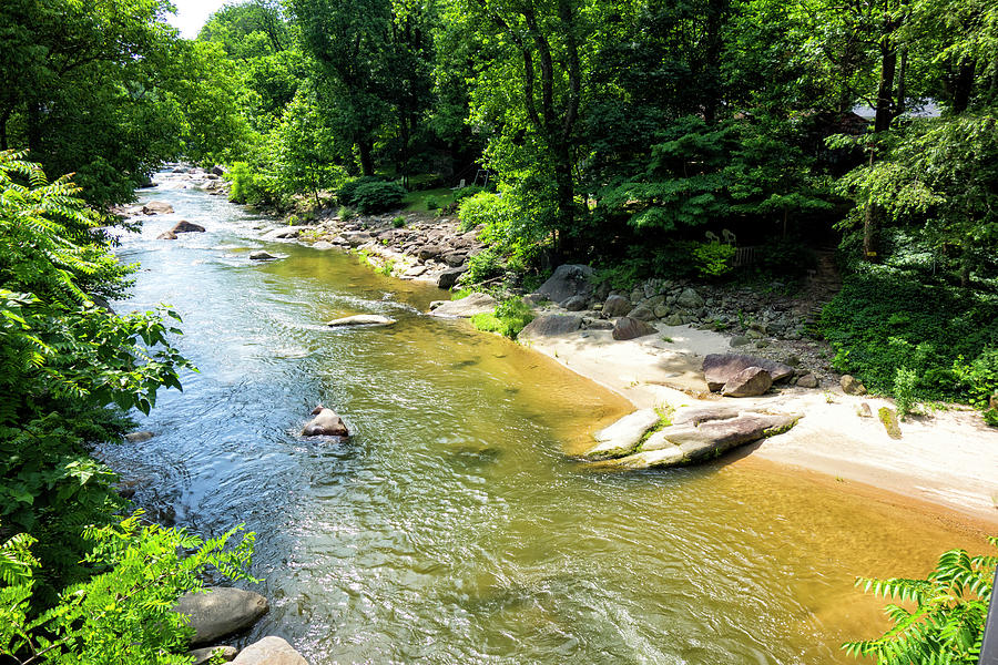 River Bank Series 6117 Photograph by Carlos Diaz | Fine Art America