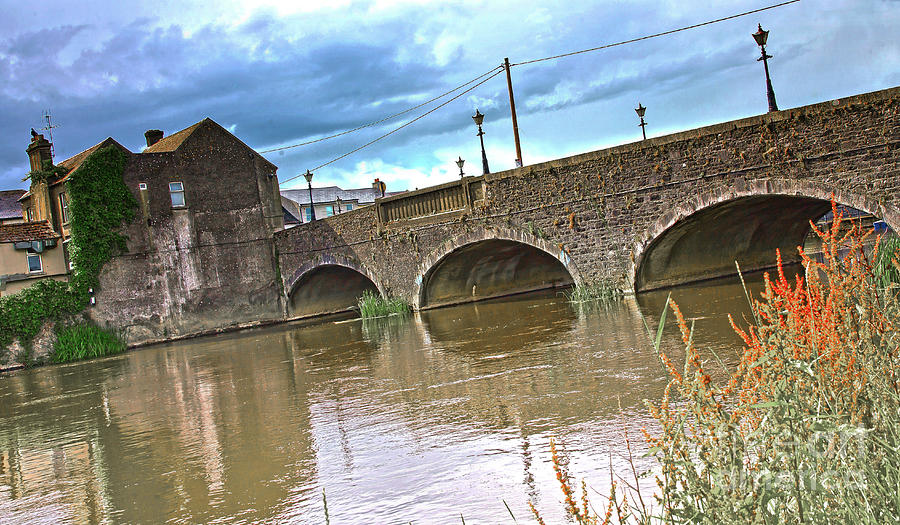 River Barrow in Carlow 10 Photograph by Alex Art