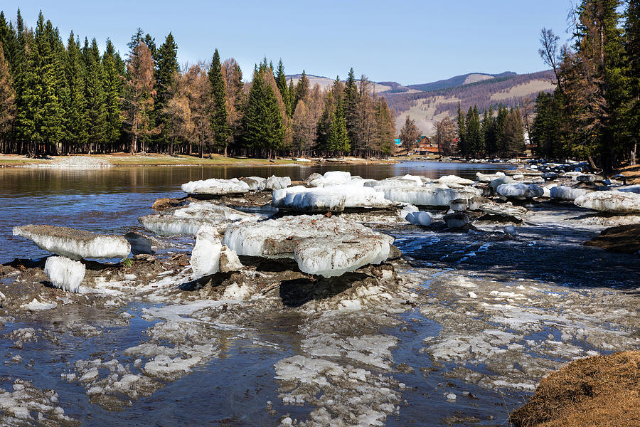 River Bashkaus With Drifted Ice. Altay Photograph