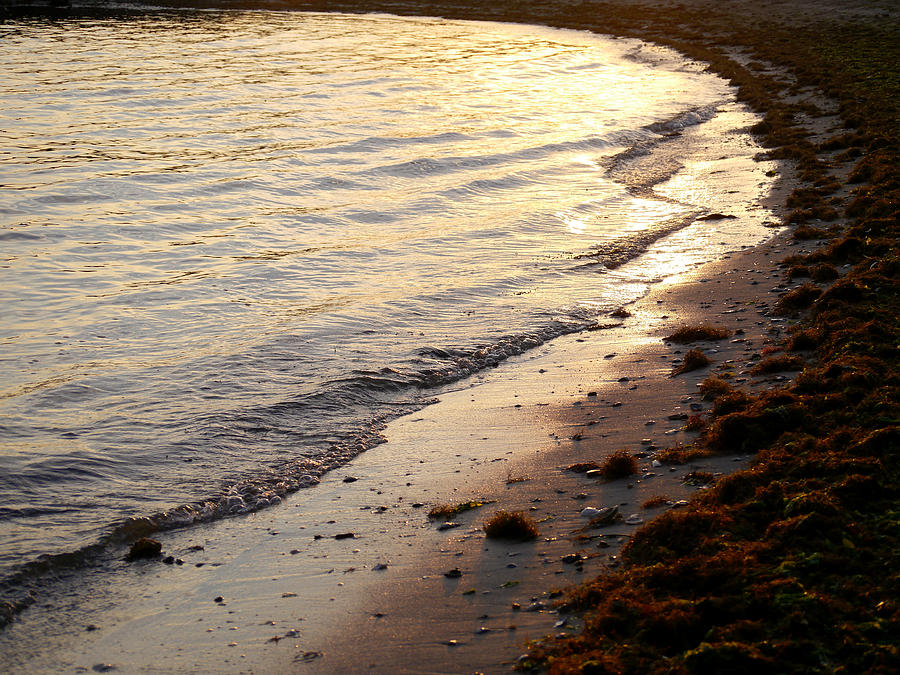 River Beach Photograph by Lara Morrison