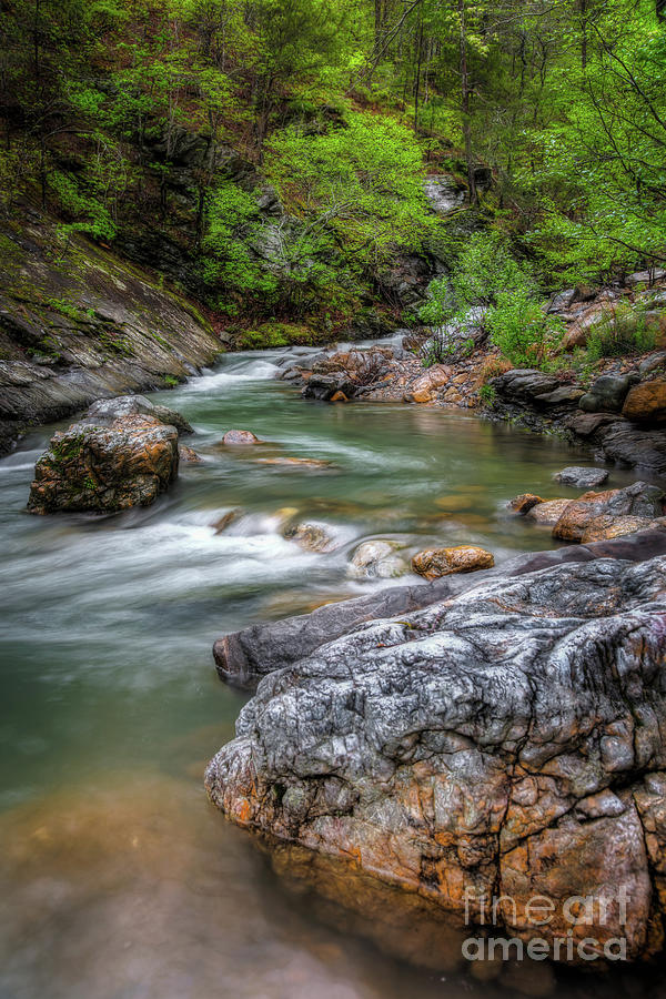 River Beauty Photograph by Larry McMahon